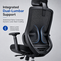 Chaise de bureau ergonomique à dossier haut en maille avec appui-tête 2D, double soutien lombaire, chaises de travail pivotantes pour bureau