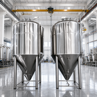 Cuve de fermentation en acier inoxydable Tonsen 2000L, unité de fermentation 20HL pour microbrasserie