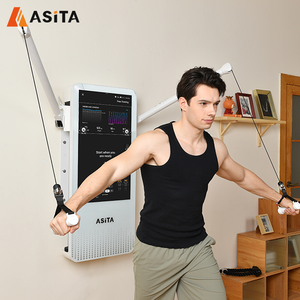 ASITA Smart Home Gym Fitness Equipment Multi-Function Digital Weight <b>Trainer</b> for Home Use Wall Mounted Strength Training ASITA H - Product Image 5