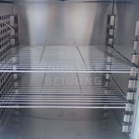 136L 225LCustomized Electric Constant Temperature Blast Drying Oven