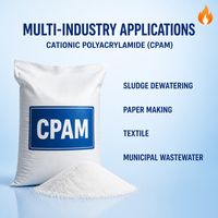 Polyacrylamide Cationique PAM Floculant pour le Traitement des Boues d'Échappement 99% Pureté Concentration Efficace 90%