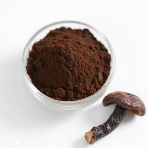 Melhor Preço Orgânico Reishi Spore Em Pó Extrato De Reishi Vermelho Parede Celular Rachada <span class=keywords><strong>Ganoderma</strong></span> <span class=keywords><strong>lucidum</strong></span> Spore Em Pó - Product Image 2