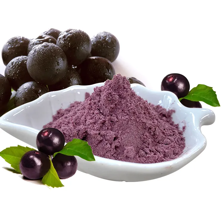 Acai Berry tozu malezya, organik meyve tozu, Acai Berry tozu ucuz fiyat doğal Acai Berry özü tozu