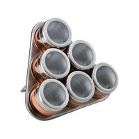 Vente chaude Ensemble portable en acier inoxydable pour café et thé Contenants pour sel et poivre Shakers à épices magnétiques