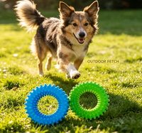 Jouet pour chien TPR durable, mignon et original, avec anneaux imbriqués, pour nettoyer les dents, à tirer, pour l'intérieur et l'extérieur