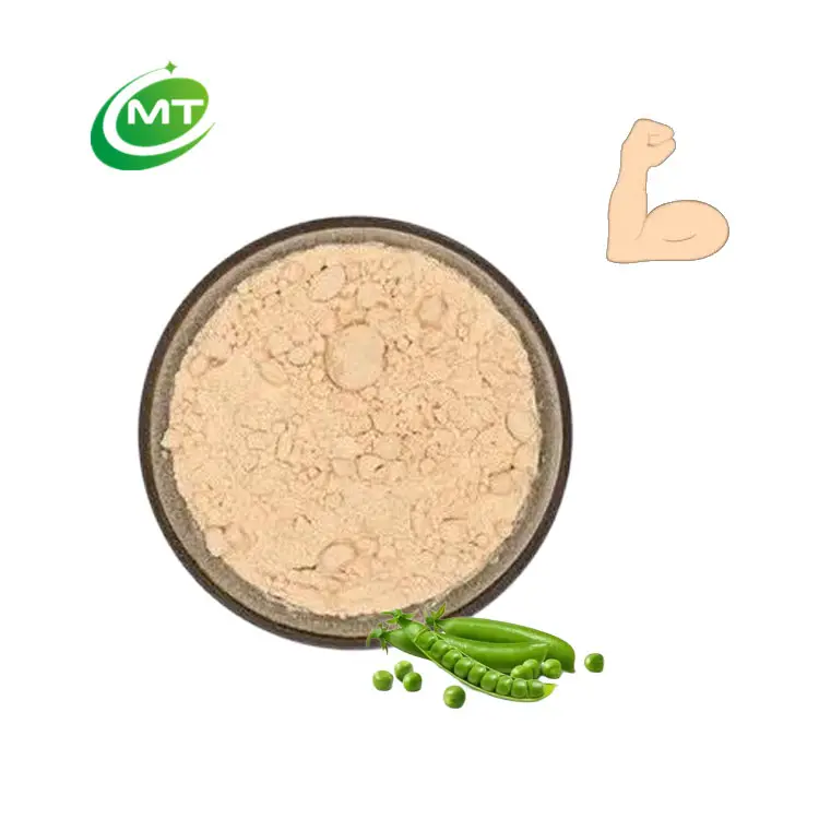 MTヘルスグリーンオーガニック無料サンプルエンドウ豆プロテインバルクパウダー