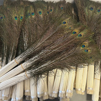 Plume de paon naturelle véritable 100-110 CM, plumes à grands yeux pour bijoux DIY, décoration intérieure, plume de paon