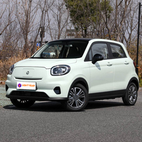 Leapmotor T03 Auto Luxe, mini véhicule électrique 4 places, nouvelle énergie, longue autonomie, conduite à gauche, caméra arrière pour les trajets urbains