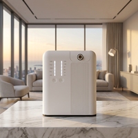 Diffuseur d'arômes sans eau 300 ml, nébuliseur à air froid avec contrôle WiFi et Bluetooth pour hôtel, bureau, spa, mural, OEM
