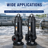 Pompe submersible à double canal en acier inoxydable et fonte, haute performance, pour drainage des eaux usées industrielles en usine, OEM