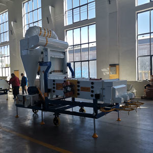 Machine <span class=keywords><strong>de</strong></span> nettoyage et <span class=keywords><strong>de</strong></span> tri des grains d'arachides, <span class=keywords><strong>de</strong></span> graines <span class=keywords><strong>de</strong></span> sésame et <span class=keywords><strong>de</strong></span> céréales d'Afrique pour éliminer les impuretés - Product Image 5