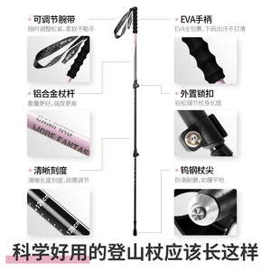 Beishanlang Trekking Poles Aluminum Alloy 3 Section Adjustable Length Hiking For Men And Women - Product Image 4
