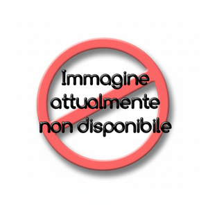 ASSA ABLOY DC140 DCL142 braccio di bloccaggio porta commerciale colore nero - Product Image 1