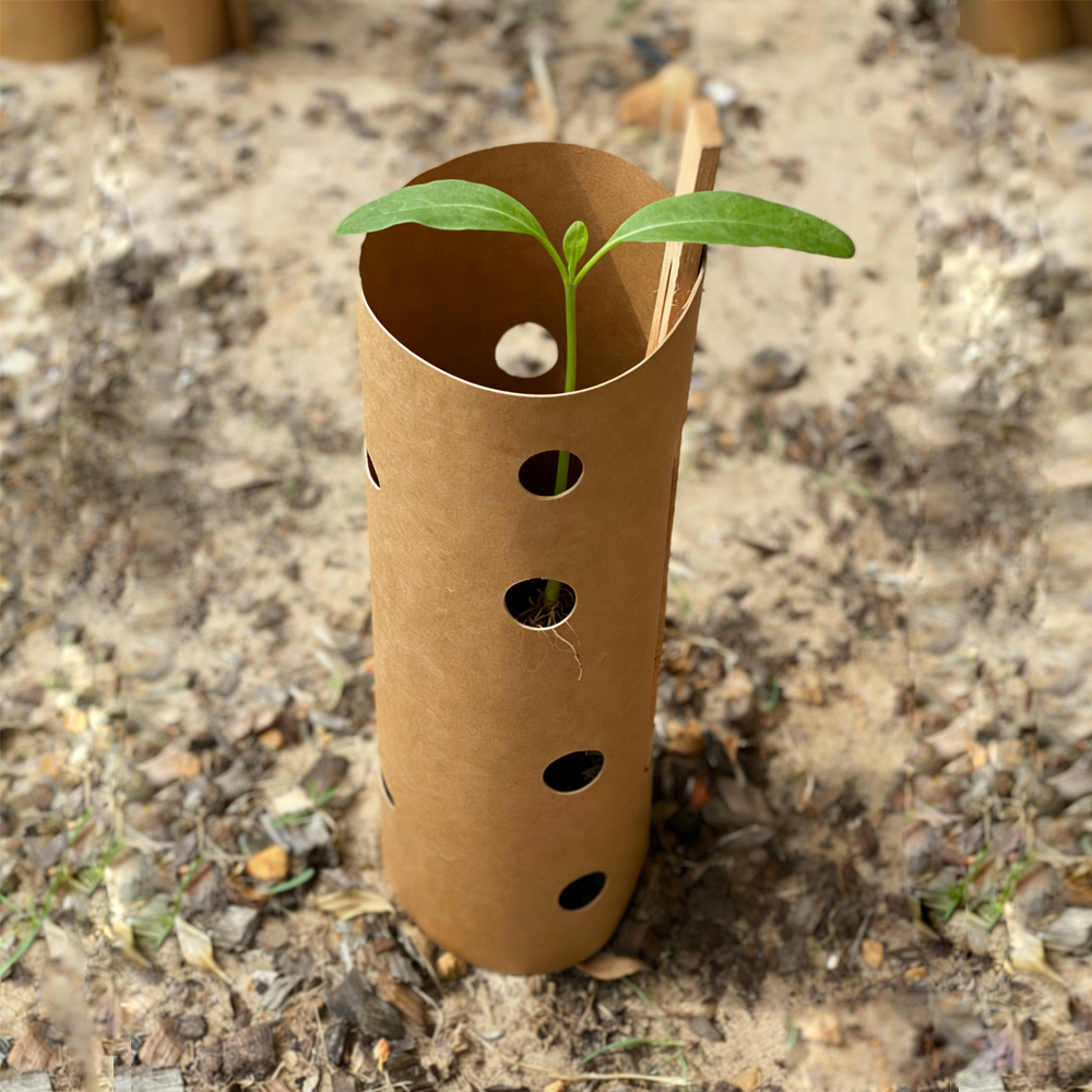 PE/PLA Coated Kraft Paper Tube for Tree Production 45cm Height Compostable