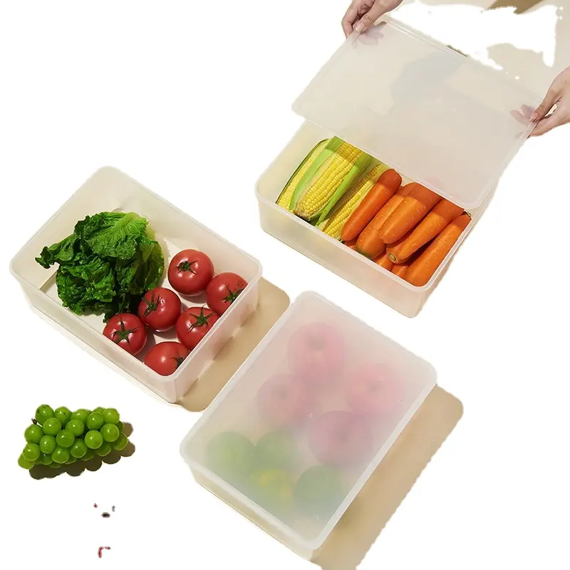 家庭用洗濯果物と野菜のプラスチック収納ボックス冷蔵庫フレッシュキーピングボックス