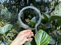 Anneaux de soutien pour plantes en acrylique moderne de 12 pouces transparents avec un soutien solide pour les plantes grimpantes