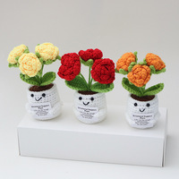 Jarrey coloré Crochet tricoté fleur avec Pot fait à la main Crochet plante de soutien émotionnel pour la décoration de bureau à domicile