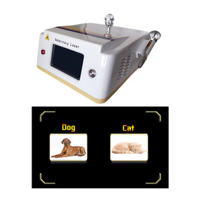 Dispositivo de alivio de dolor de uso veterinario para perros y caballos para máquina de terapia con láser frío de diodo de 980 - Product Image 1
