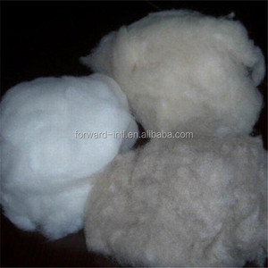Fibra de Cachemira Deslanada <span class=keywords><strong>en</strong></span> Venta - Product Image 6