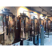 Brasserie Nano Clé en Main 1000L Ligne de Production de Bière Compacte avec Réservoir sous Pression