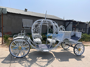 Carruaje Eléctrico de Hierro Blanco Estilo Real, el Más Vendido, Carruaje Eléctrico Blanco para Bodas y Turismo - Product Image 5