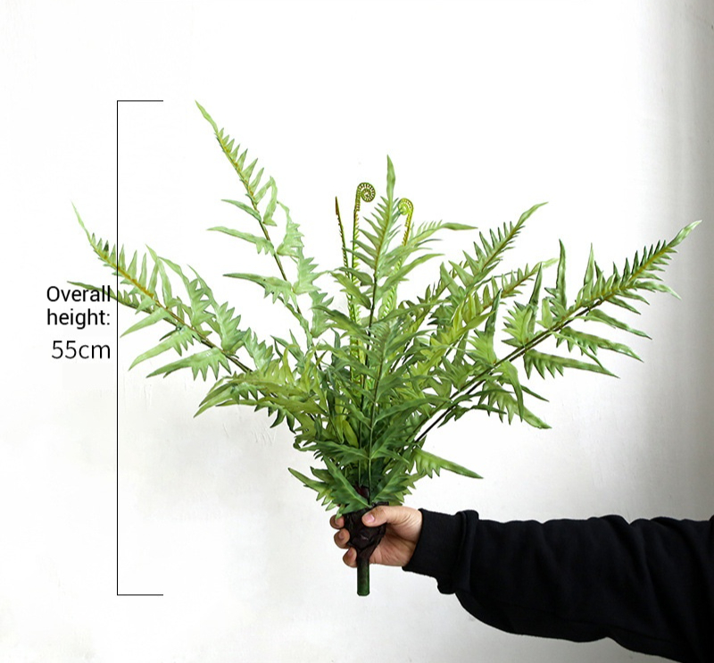 55cm pineapple fern