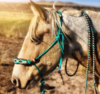 Ensemble de licol et de longe pour cheval, fabriqué par Horse Lead Equip, avec protège-museau, crochet, corde en paracorde tressée à la main, licol en nylon pour l'équitation
