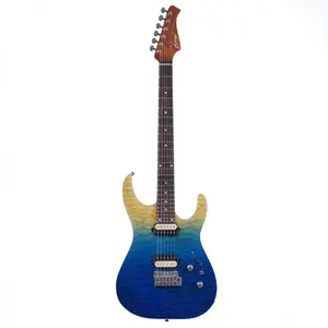 New Auriga Electric Guitar Roasted Flame Maple Neck Flame Top Body 24 Frets Electric Guitars