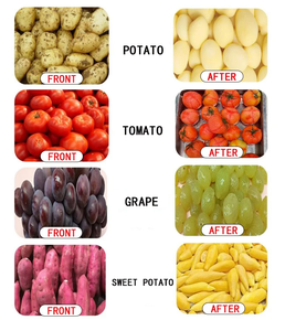 롱쿤 전자동 감자 찌기 및 껍질 제거 기계, 수박 전자동 껍질 제거 장비 - Product Image 6