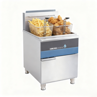 Friteuse à pommes de terre à gaz professionnelle en acier inoxydable à double panier pour les restaurants de restauration rapide et les magasins de restauration rapide