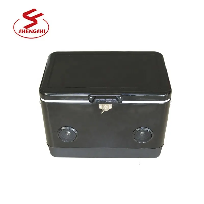 Eco-friendly electric cooler box with music ice chest