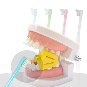 סיטונאי מברשת שיניים סינגל טאפט רכה לניקוי גשר אורתודונטי ושתלים ראש קטן מברשת לשיני בינה ולמרווחים למבוגרים - Product Image 5