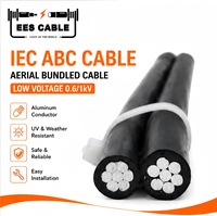 Cable de Aluminio Estándar IEC60502 ABC de 1*16+1*25mm2, Cable de Servicio XLPE de 2 Núcleos Fase-Neutro Sin Iluminación EESCABLE