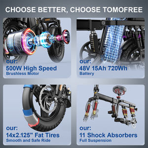 Bicicletta Elettrica Pieghevole con Motore Brushless, Batteria al Litio 48V 15Ah, Telaio in Acciaio ad Alto Tenore di Carbonio, Freni a Disco Meccanici, 25km/h - Product Image 3