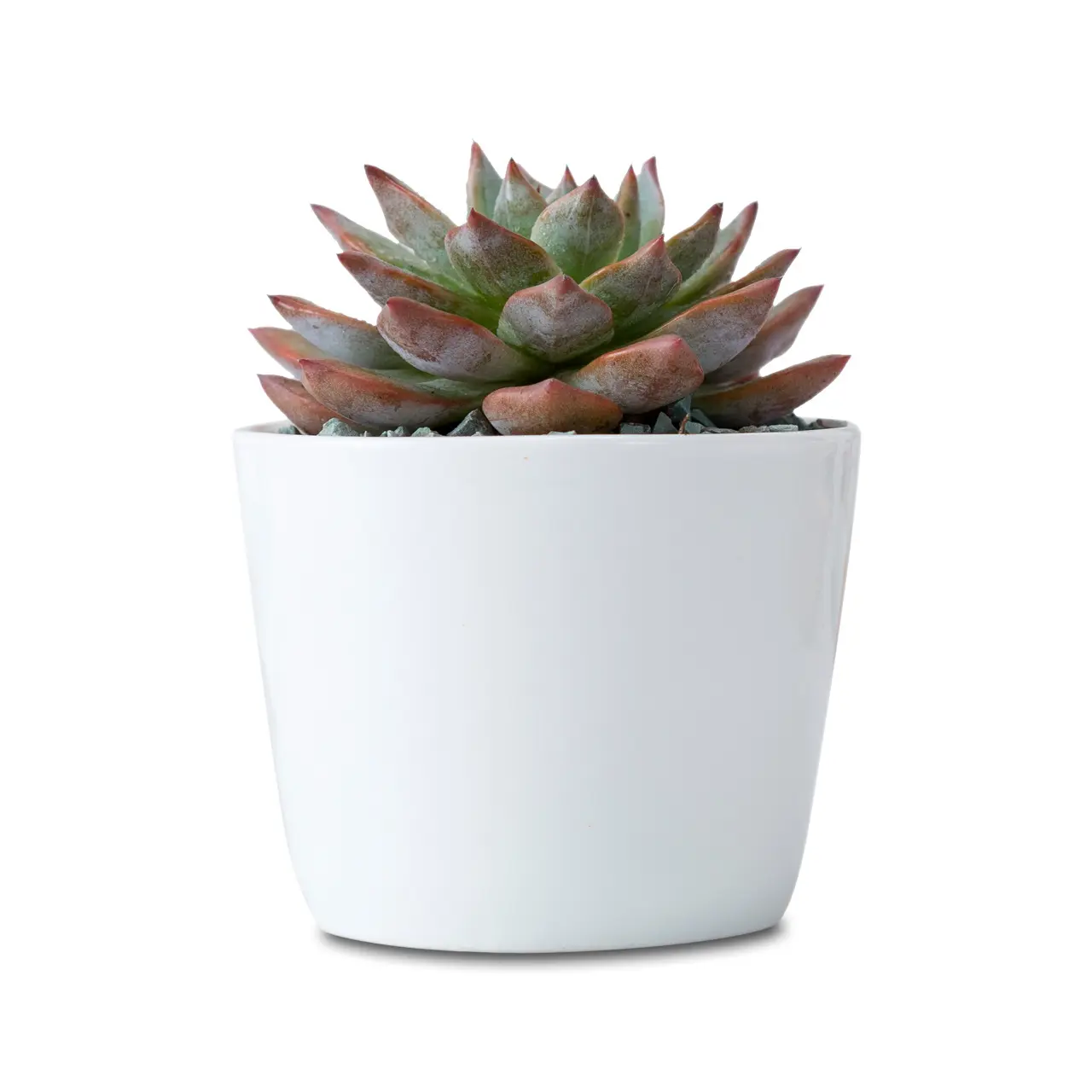 Home decor 2.5 inch small ceramic white glazed flower pots