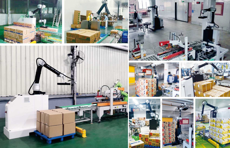 Automated Robotic Palletizing System Robotic Case Packer Palletizer ...
