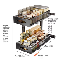 Armoire multifonctionnelle en métal à 2 étages sous l'évier Organisateur de rangement pour la cuisine