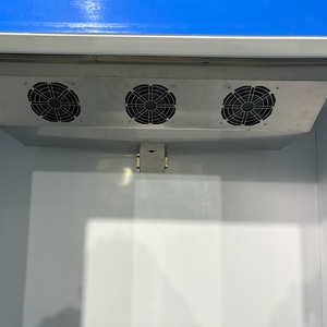 Không khí ngoài trời làm mát from-miễn phí băng gói merchandiser Tủ đông chủ với tùy chỉnh in ấn - Product Image 6