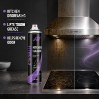 FITWORLD 650ml Nettoyant Four Écologique en Aérosol OEM pour l'Élimination des Graisses Incrustées dans l'Entretien Quotidien de la Cuisine Domestique