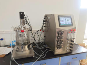 Biorreactor de cultivo de células de mamífero, biorreactor de células madre, fermentador de laboratorio, biorreactor de vidrio de borosilicato, Bailun 20L - Product Image 6