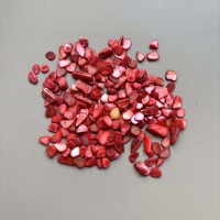 Coquillage Fragment Gravier Nail Art Terrazzo Jardin Décoration Accessoires Perle Artisanat Broyé Coloré Abalone Shell Feuille Puces