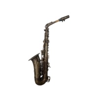SEASOUND OEM Professional Alto Saxophone Wind Instrument JYAS112VGGC Gold Copper Material Vintage Color EB Tone Adjustable