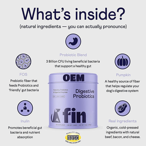 Masticables suaves probióticos de etiqueta privada para perros, gatos y perros, suplementos para aliviar las articulaciones y la ansiedad, suplementos para el cuidado de la salud de las mascotas - Product Image 3