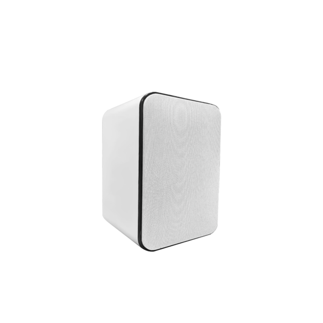Professional 5-inch Conference Wall Mounted Speaker, Suitable for Public Broadcasting Conference Wall Mounted Speakers