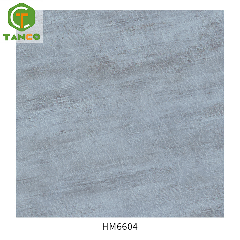 HM6604