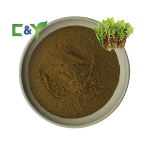 도매 대량 식품 천연 신선한 붉은 시금치 분말 수용성 비타민 추출물 드럼 도매 대량 붉은 시금치 추출물 - Product Image 1