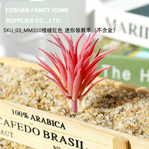 Cabezas de Flores Suculentas Artificiales, Mini Planta de <span class=keywords><strong>Echeveria</strong></span> con Efecto Flocado, Decoración de Pared, Diseño DIY, Vegetación Artificial para Interiores, Bodas - Product Image 5