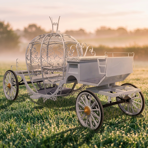 Calèche de mariage de style britannique, calèche de luxe à chevaux, remorque pour transport spécial de lieux de mariage - Product Image 1
