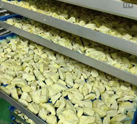 Voedselveilige 304 roestvrijstalen vriesdroger/lyofilisator, meerdere capaciteiten voor het drogen van fruit, groenten & dierenvoer in een fabriek