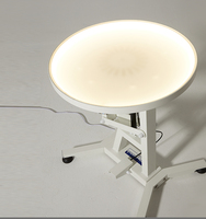 Table de toilettage pour animaux de compagnie en acrylique et acier inoxydable souple, rotative, à levage pneumatique, avec éclairage LED rechargeable, sûre et facile à utiliser YM-Q201LP